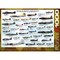Eurographics: World War II Aircraft - 1000 Piece Puzzle, Adult Jigsaw, 19.25x26.6" Assembled, Iconic Historical Planes, High-Quality Recycled Material